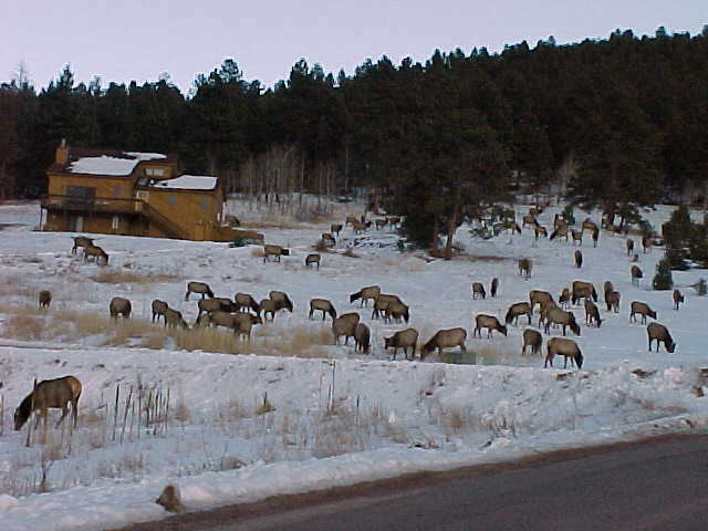 Evergreen, Colorado